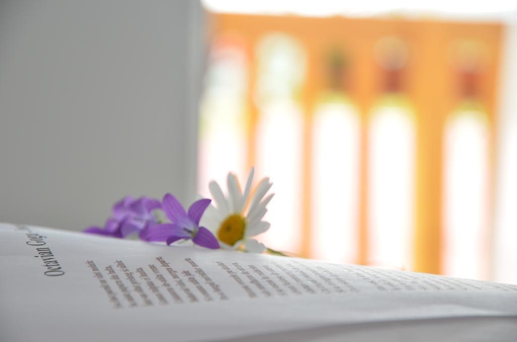 Pensiunea Poezii Alese Valea Drăganului Cameră foto