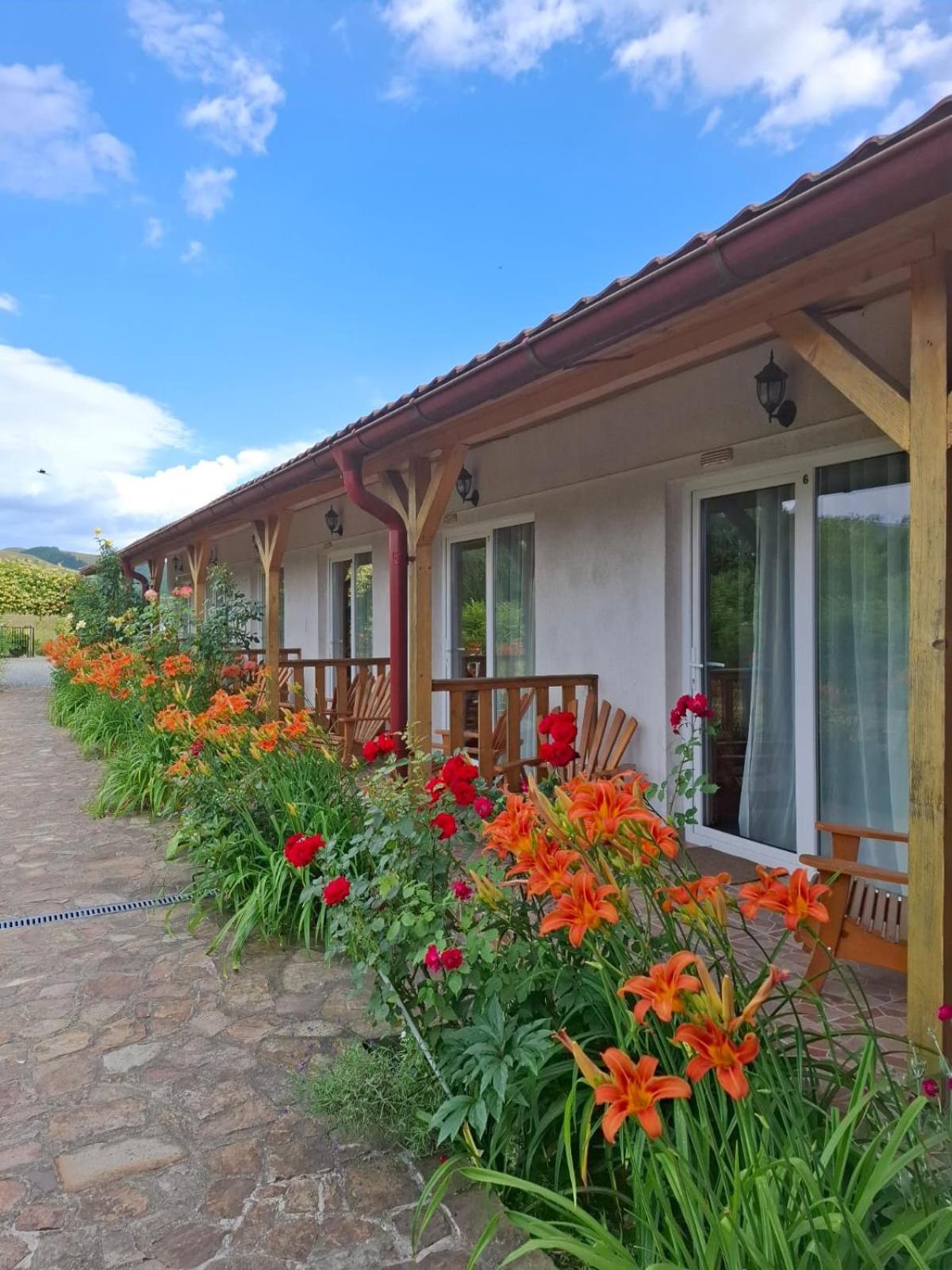 Pensiunea Poezii Alese Valea Drăganului Exterior foto