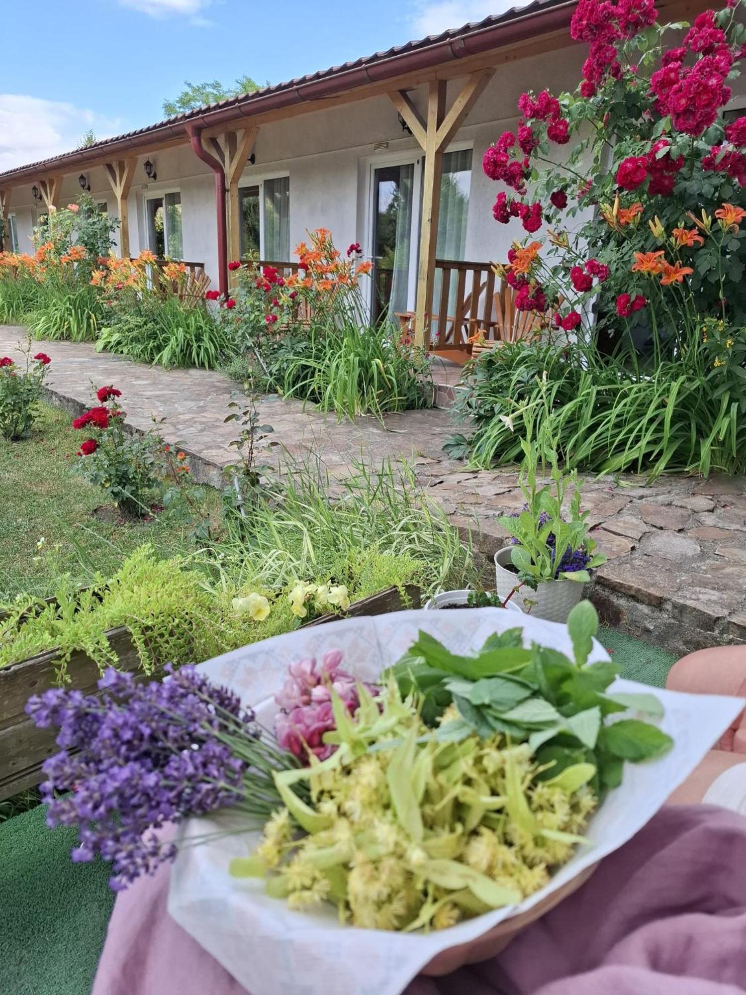 Pensiunea Poezii Alese Valea Drăganului Exterior foto